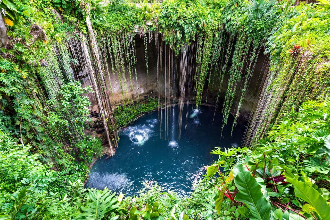 Abertura do cenote Ik-Kil visto de cima com vegetação ao redor