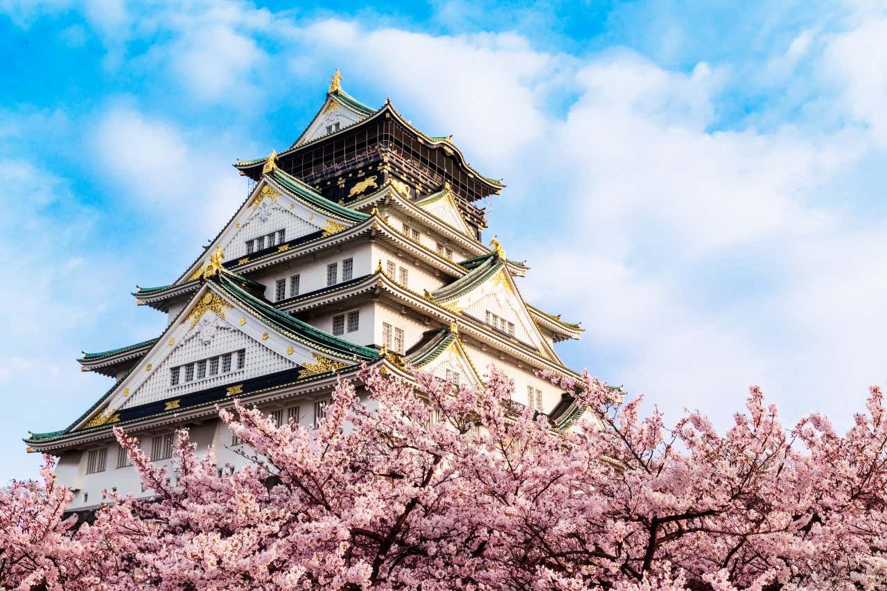 A view of Osaka Castle from below with Cherry Blossoms in view at the bottom of the picture, and a cloudy sky in the background.