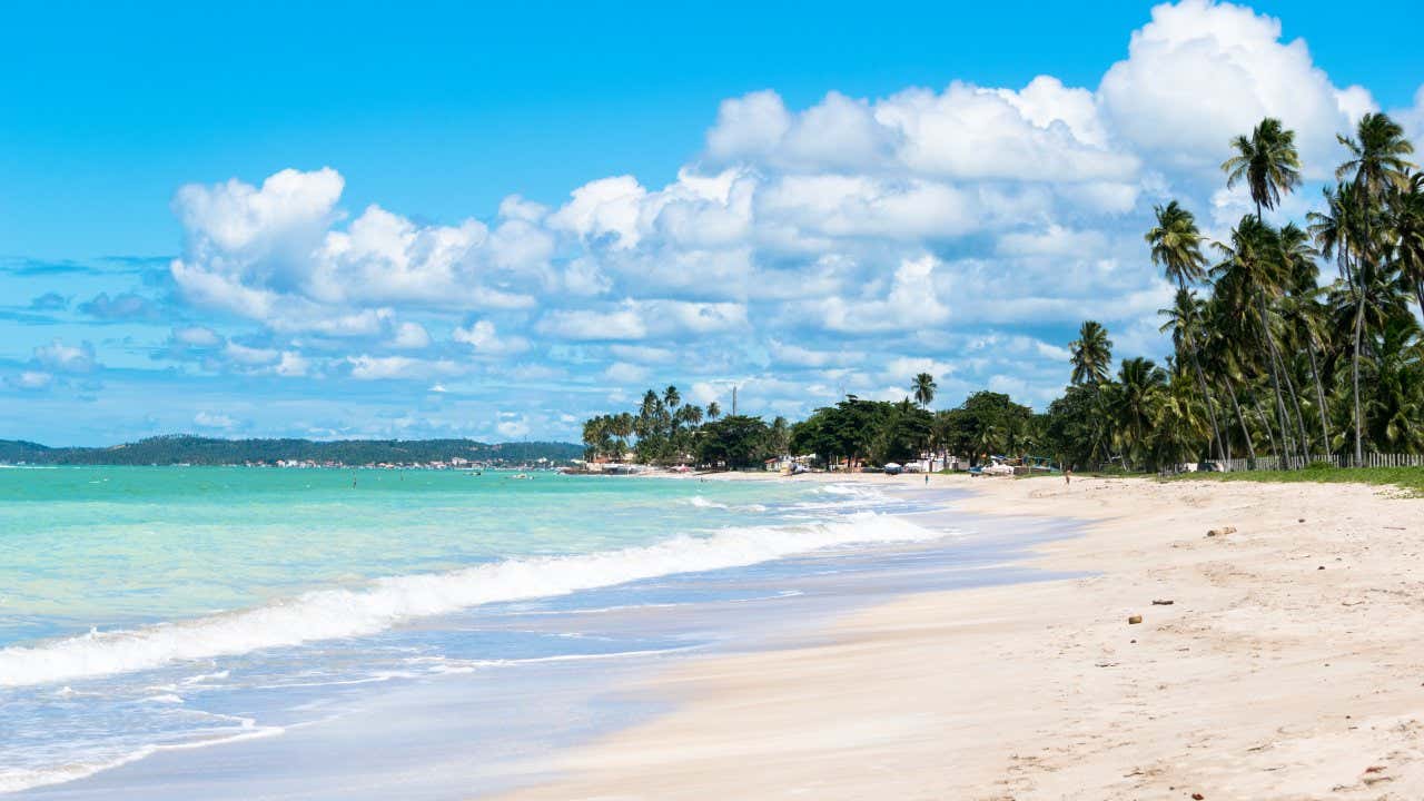 Praia com água cristalina, areia branca e coqueiros ao fundo