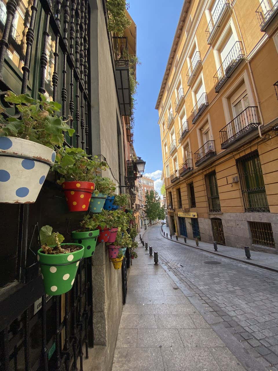 Rue étroite de Madrid avec des pots de fleurs colorés suspendus à une fenêtre au premier plan