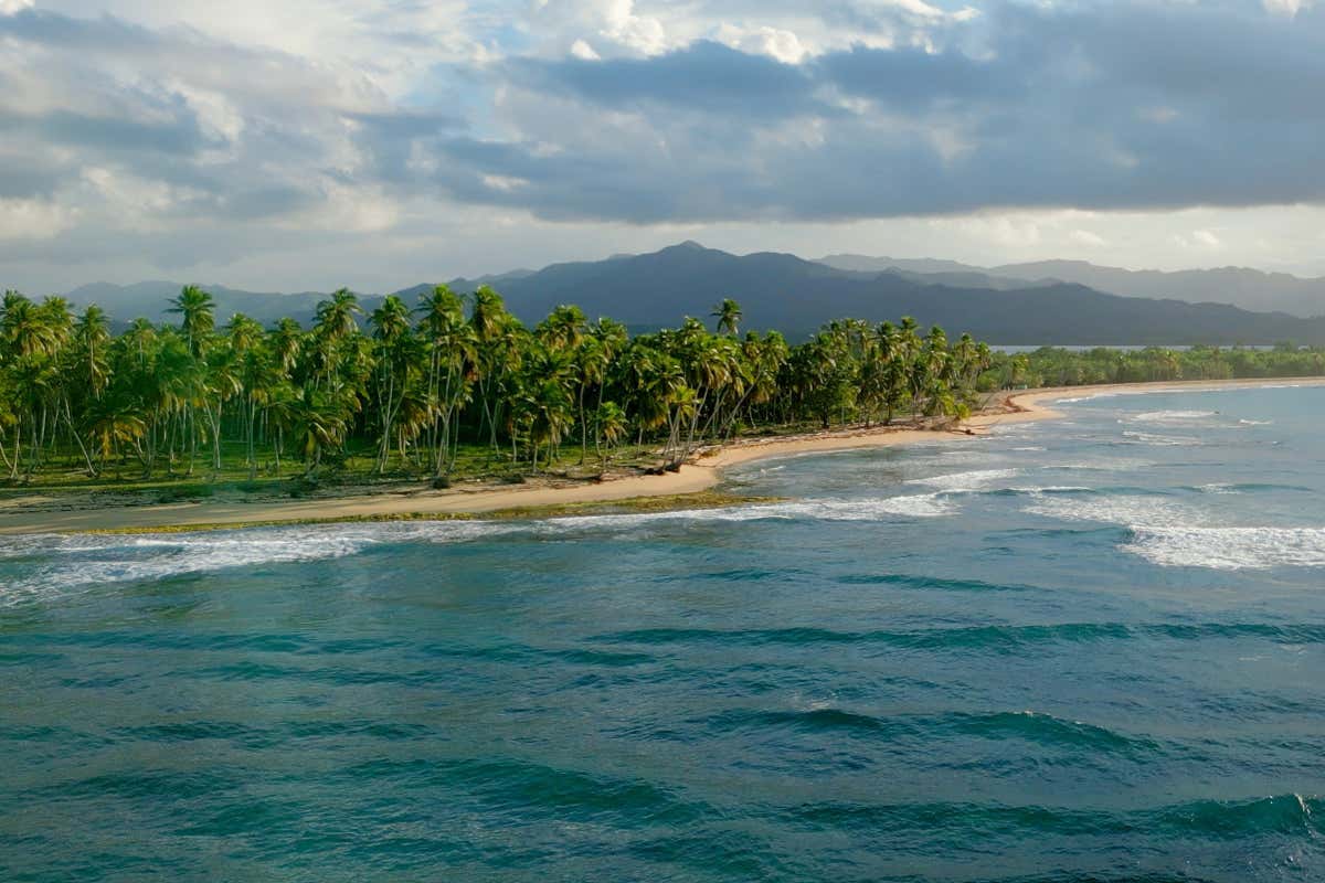 Playa caribeña con unas palmeras de fondo