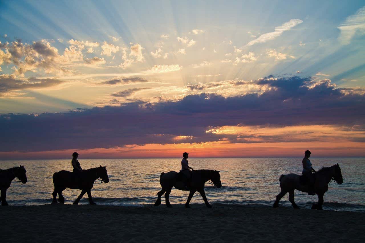 Four people on horses riding along the beach in a row, with an orange sunset in the sky