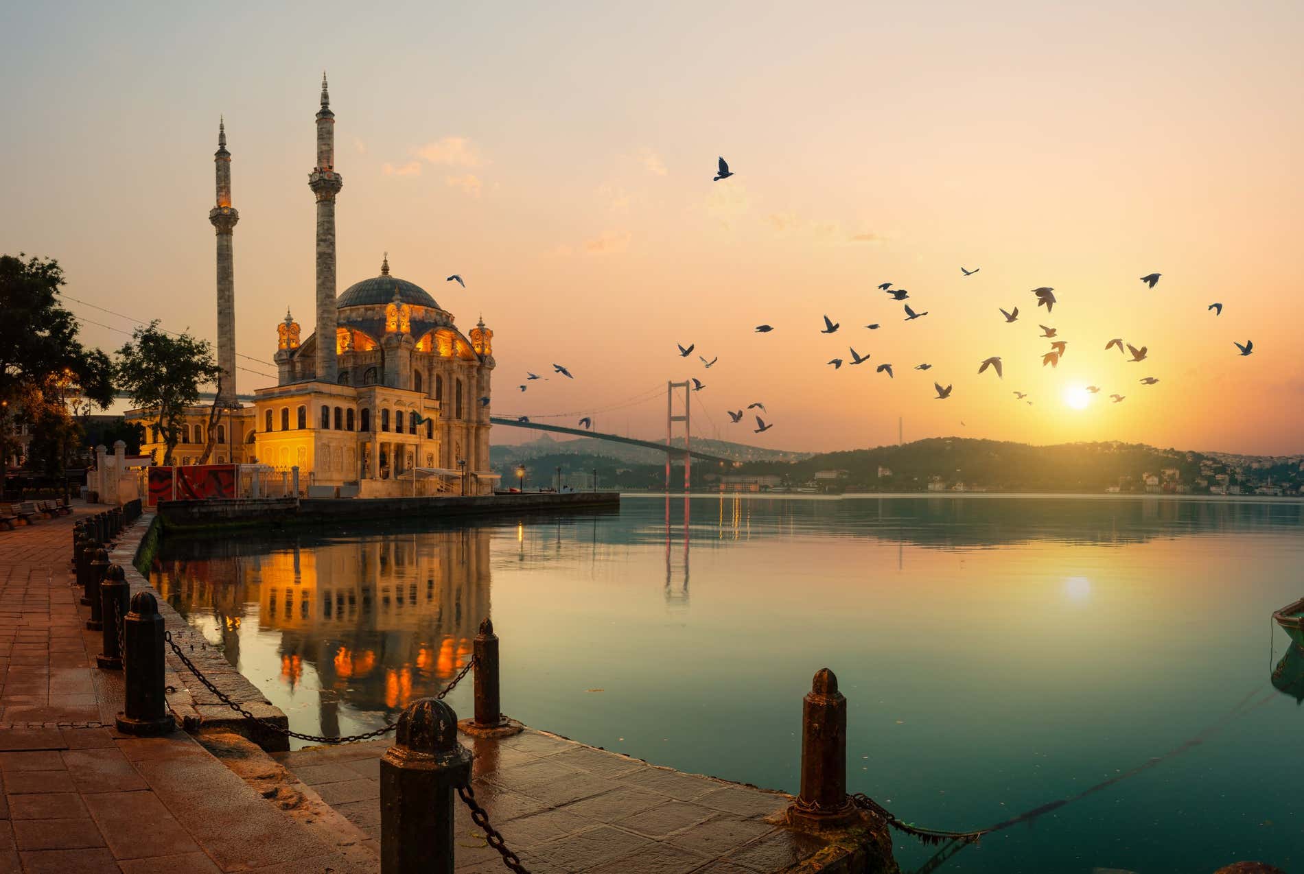 Uccelli che volano sullo stretto del Bosforo al tramonto a Istanbul