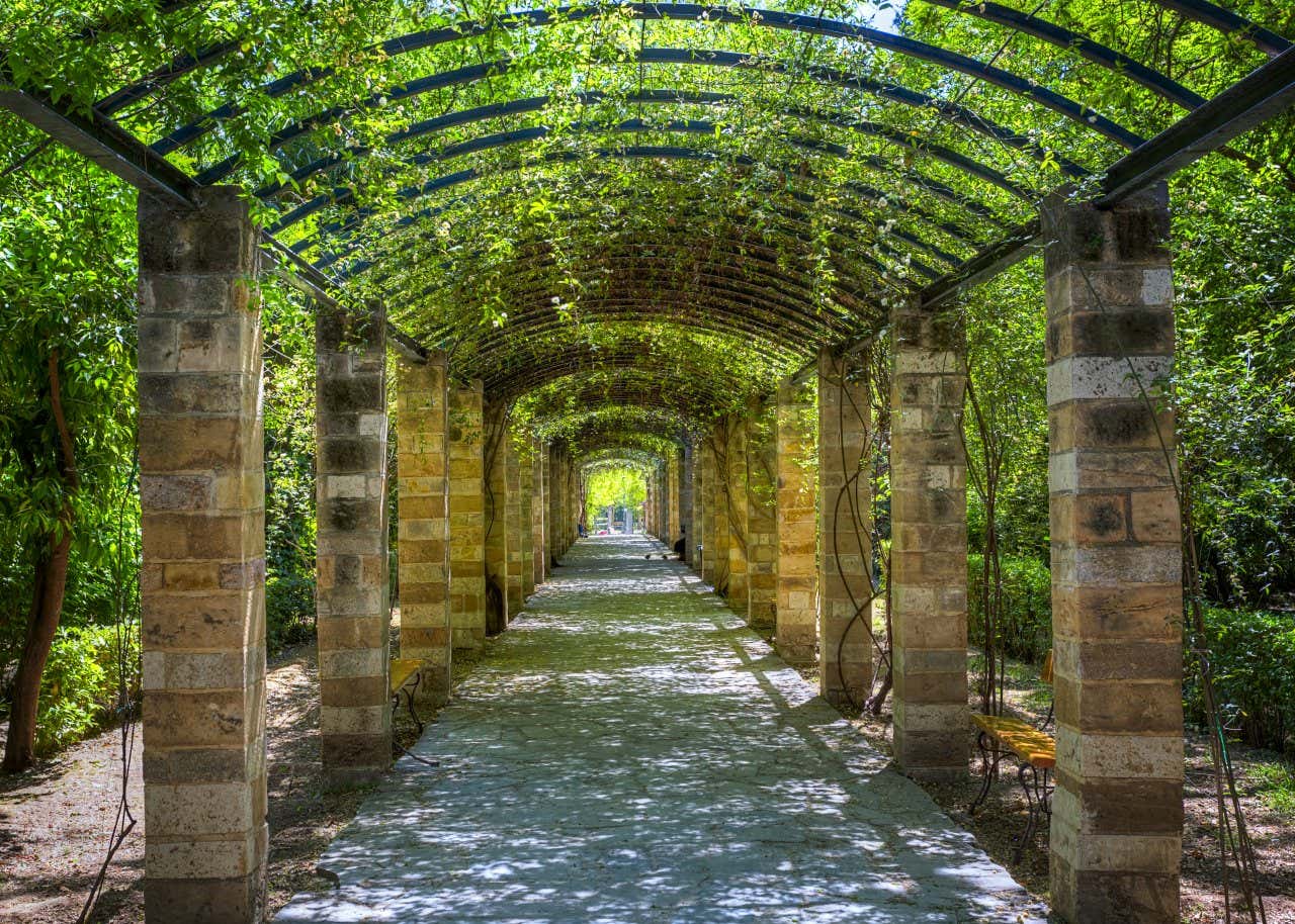 A tunnel within the National Garden in Athens, with vegetation serving as the roof of the structure.