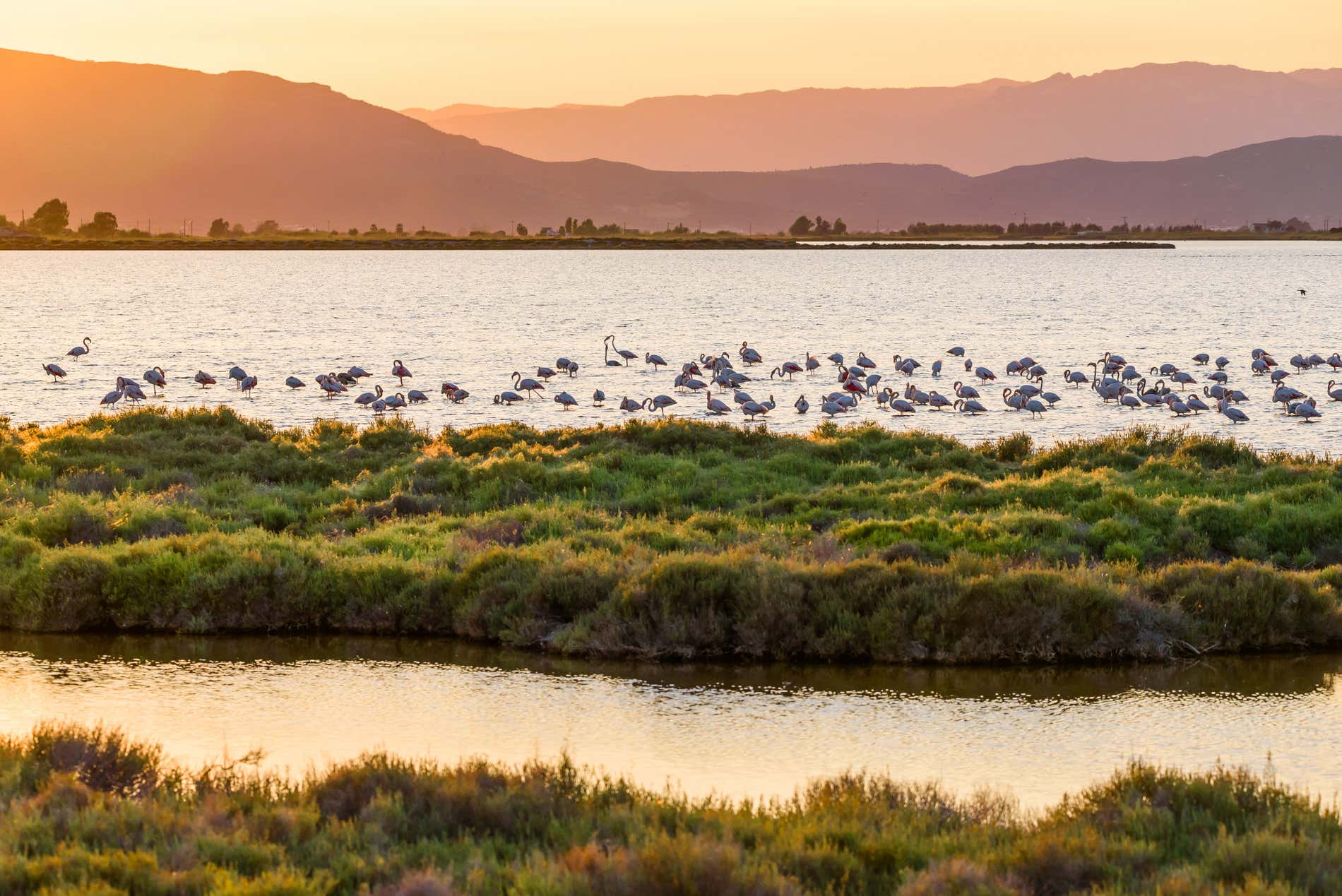 Qué Ver Y Hacer En Delta Del Ebro: Planes Para Disfrutar De Este ...