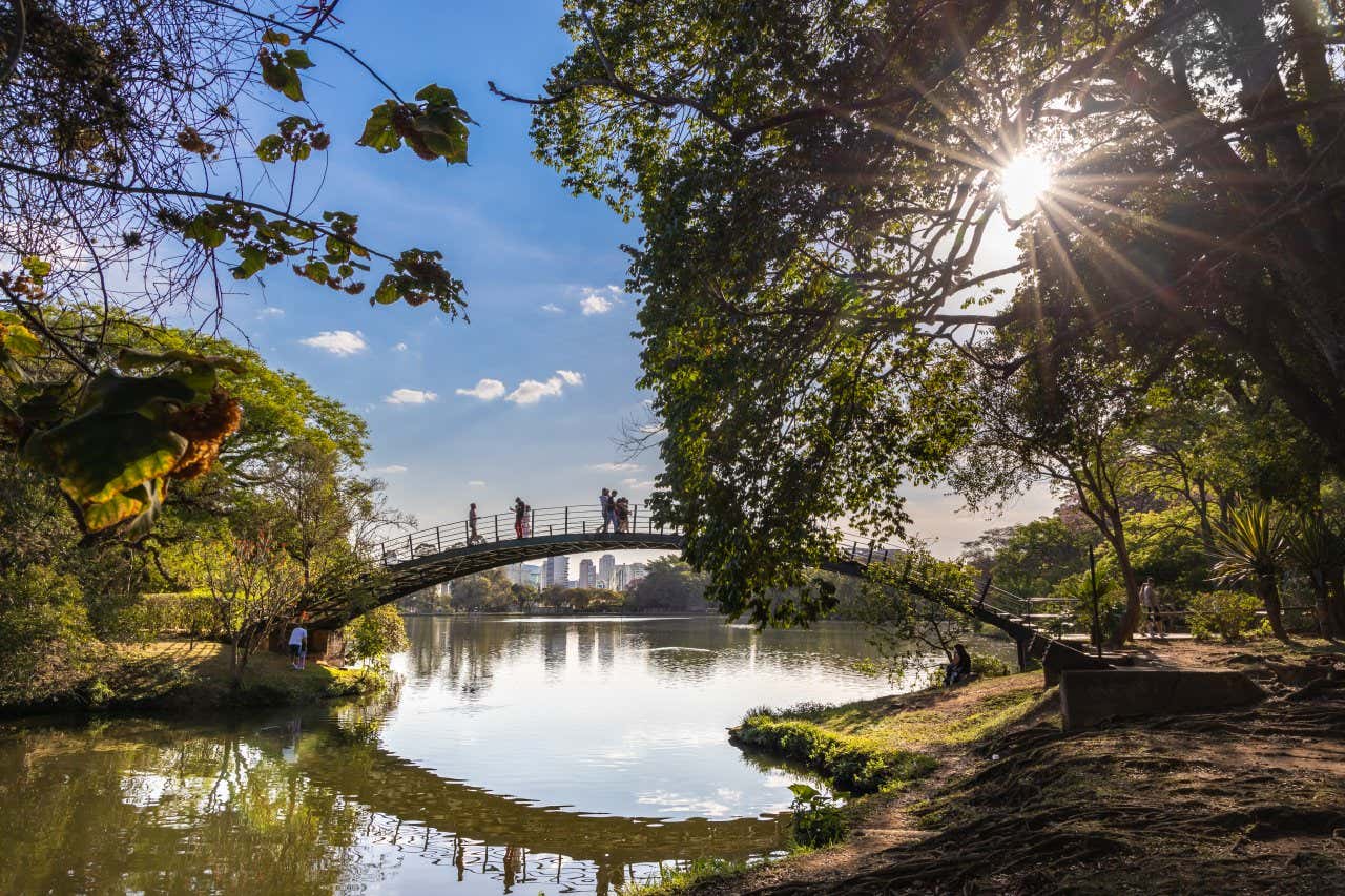 Un bellissimo paesaggio del Parco Ibirapuera, con un ponte sull'acqua e il sole che filtra tra gli alberi