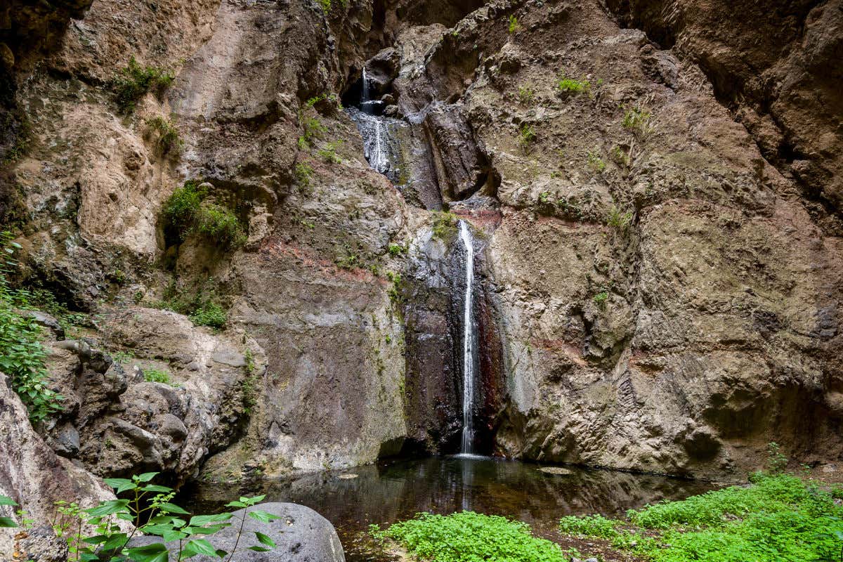 Una pequeña cascada de agua cayendo en varios niveles y desembocando en un pequeño manantial de Tenerife