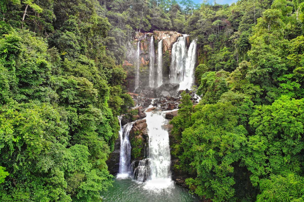 Una cascata che cade in una piscina naturale nel mezzo della lussureggiante giungla costaricana