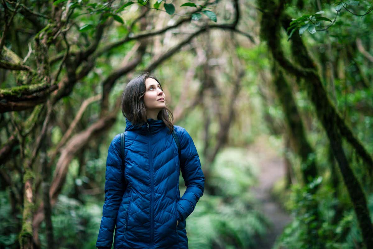 Una mujer con una chaqueta contemplando los árboles de un frondoso bosque de laurisilva