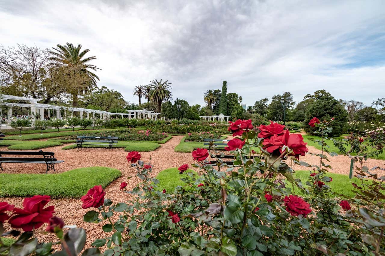Parque El Rosedal de Palermo con jardines floridos, frondosa vegetación, bancos y estructuras de metal blanco