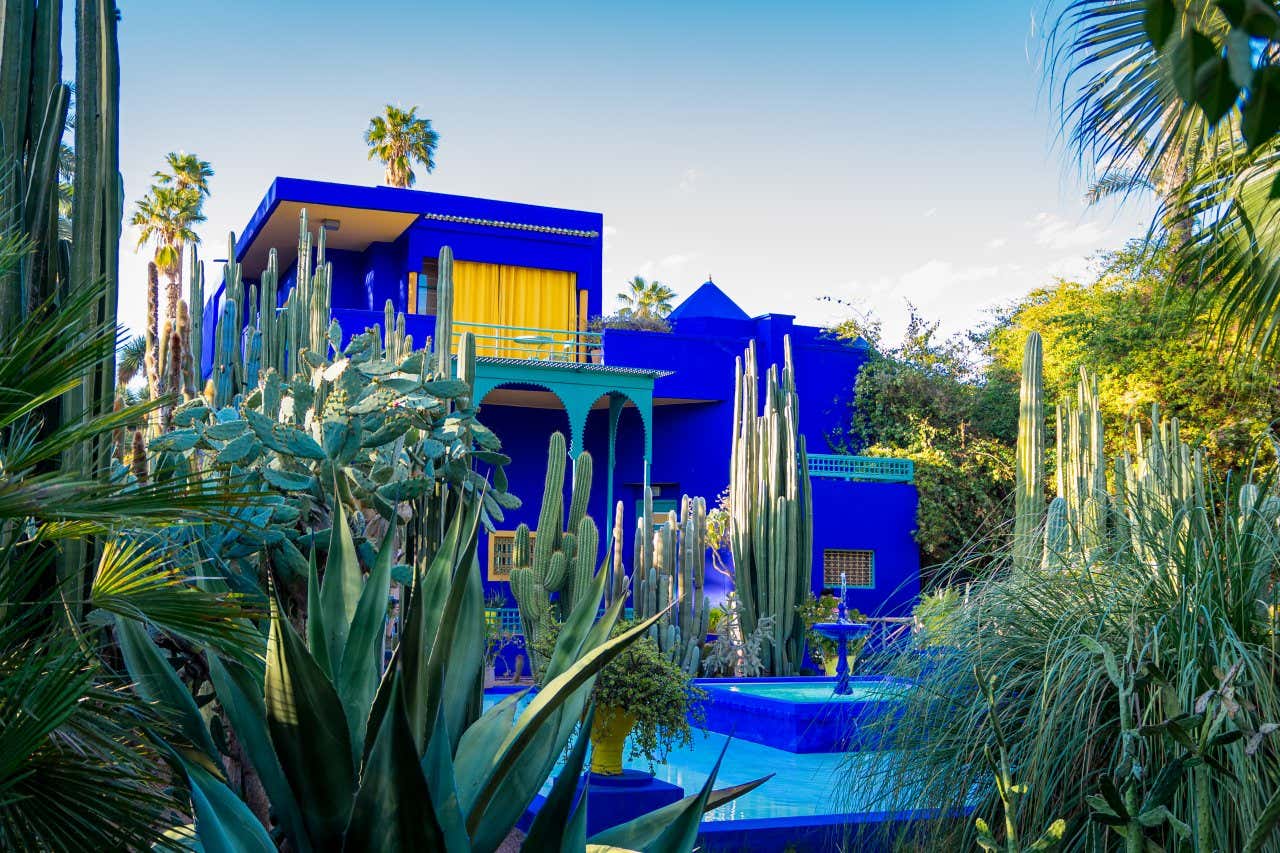 Plants and the deep blue building of the magnificent Jardin Majorelle in Marrakesh