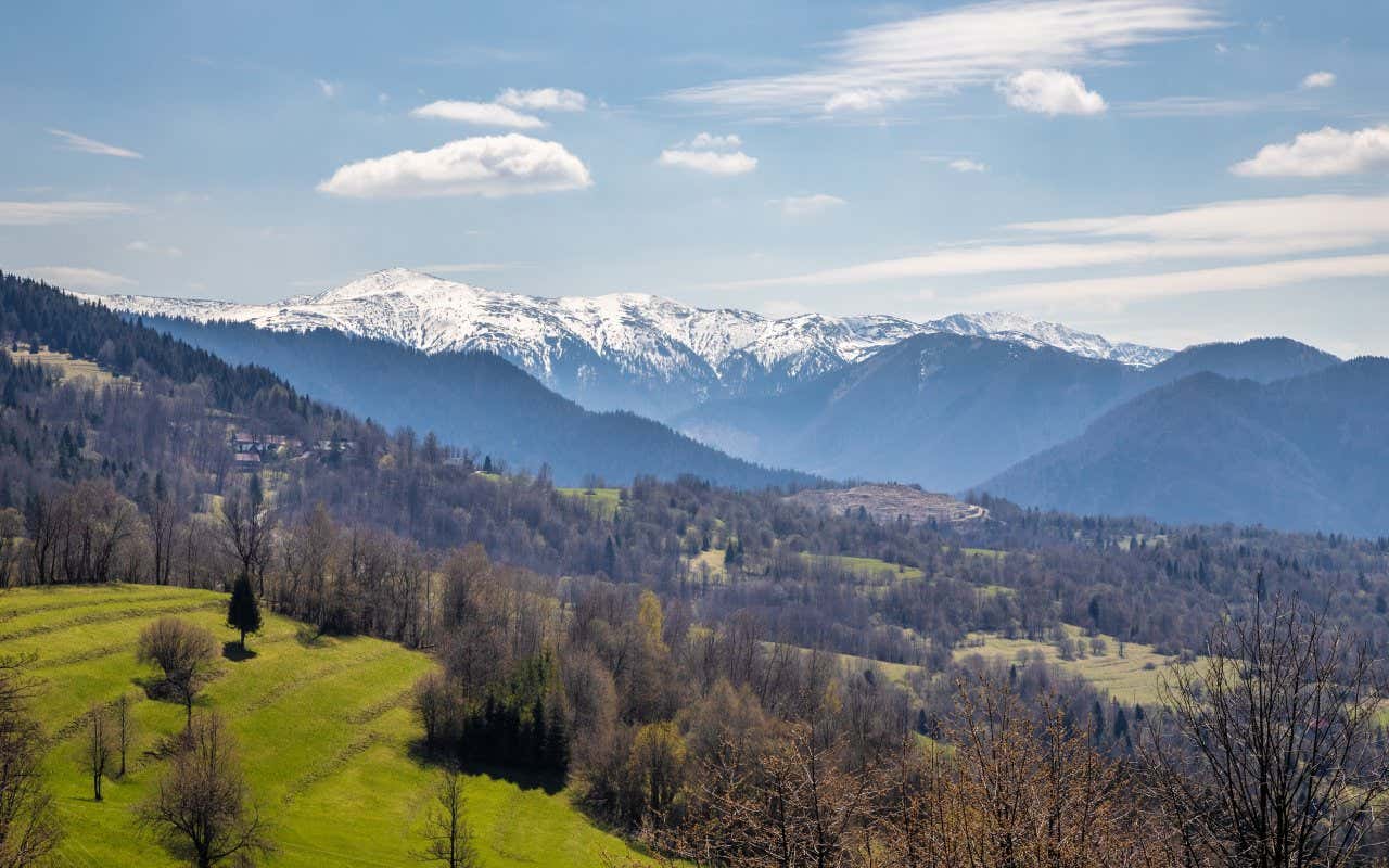 Uma foto aérea do Parque Nacional Malá Fatra, com uma grande número de árvores em campos verdes, com montanhas nevadas ao fundo.