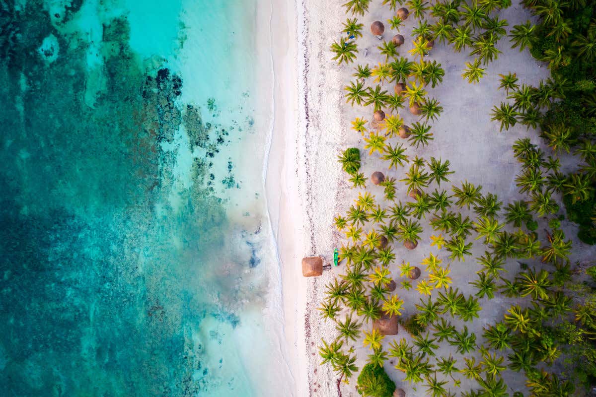 Vista aerea delle palme, della sabbia bianca e delle acque cristalline di una spiaggia della Riviera Maya