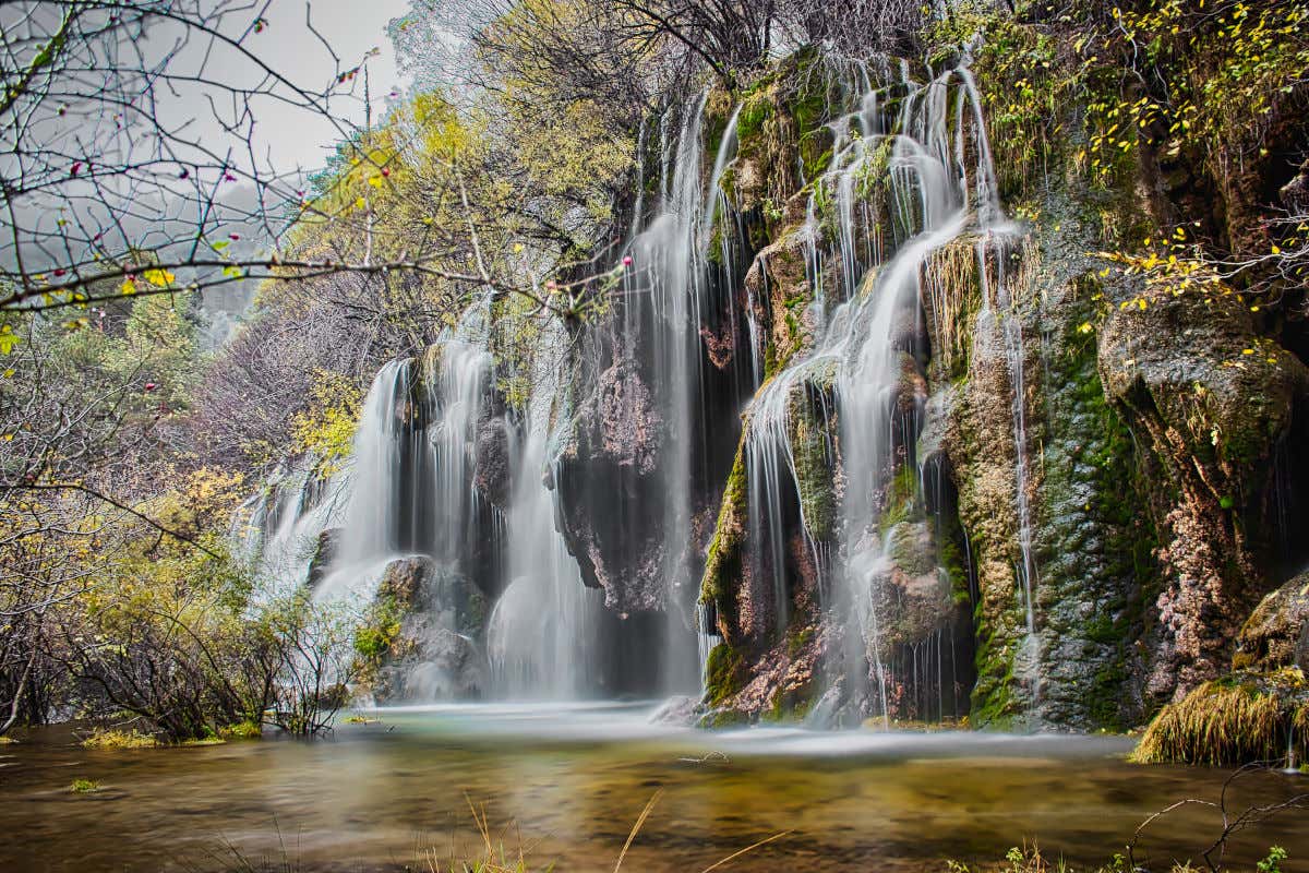 Agua brotando por una cascada y cayendo a un río rodeado de vegetación