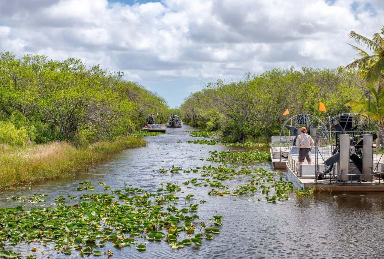 A man on a hovercraft boat sailing along the Everglades.