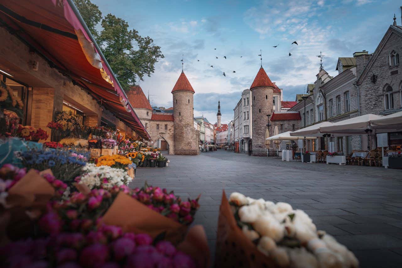 Two medieval towers in Tallinn's old town, with birds flying above, and a cloudy blue sky in the background. Along the left of the street, various flowershops with flowers outside. On the right, restaurants with outdoor seating.