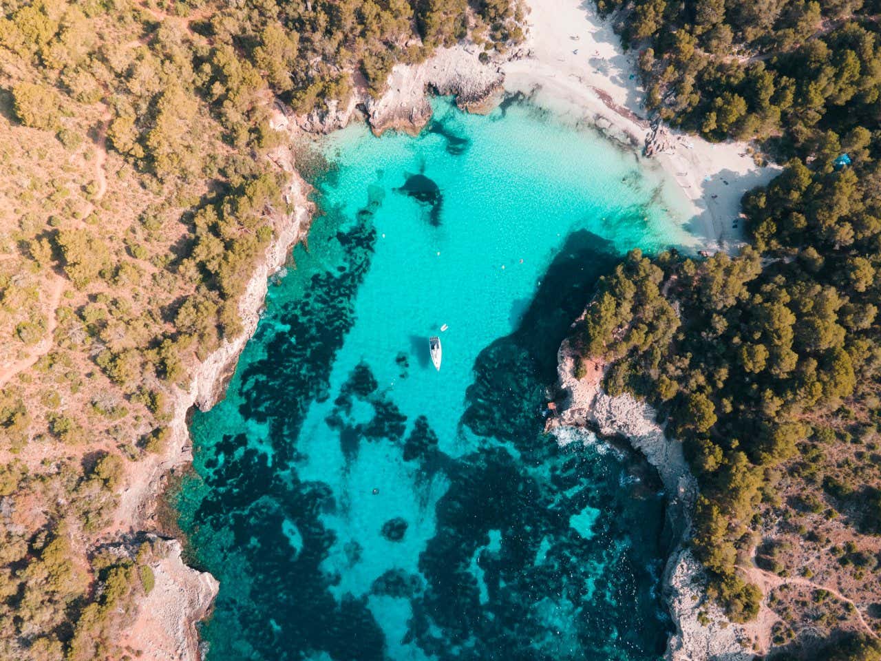 An aerial view of Cala Turqueta with a white boat in the centre of the clear water.