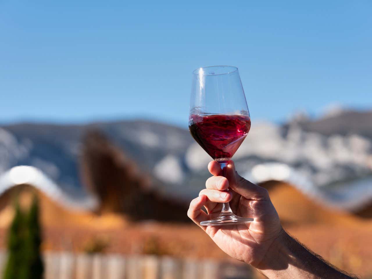 Una mano sostiene un vaso de vino tinto al aire libre en un día soleado