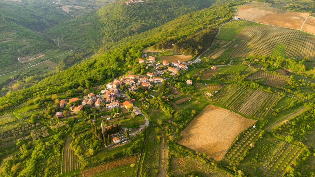 La Valle del Dragogna vista dall'alto, con vallate verdi, campi e casette, tra le cose da vedere in Istria