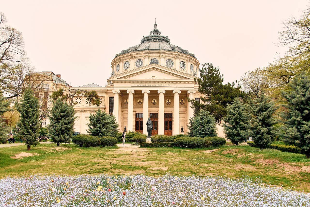 L'edificio dell'Ateneo Rumano a Bucarest, con una struttura neoclassica e un giardino con fiori e una statua di fronte