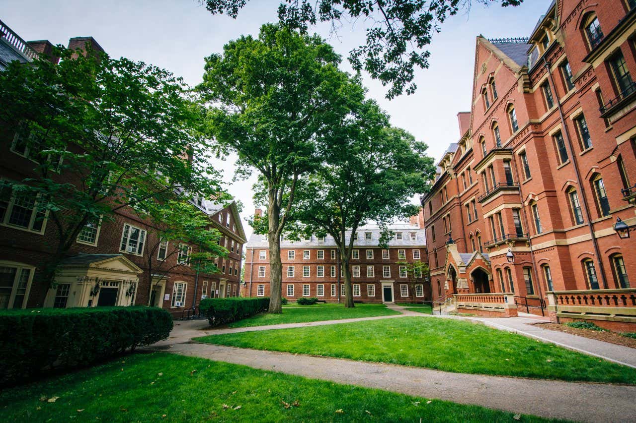 Cour de l'université de Harvard, avec un ciel nuageux visible au-dessus des bâtiments