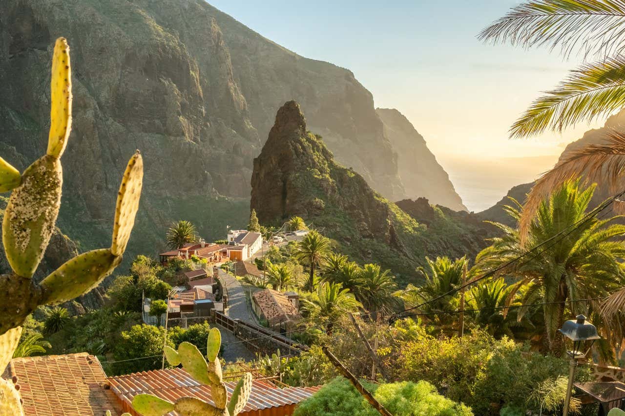 Rigoglioso paesaggio della Valle de Masca a Tenerife, con palme, alberi, montagne e il mare sullo sfondo