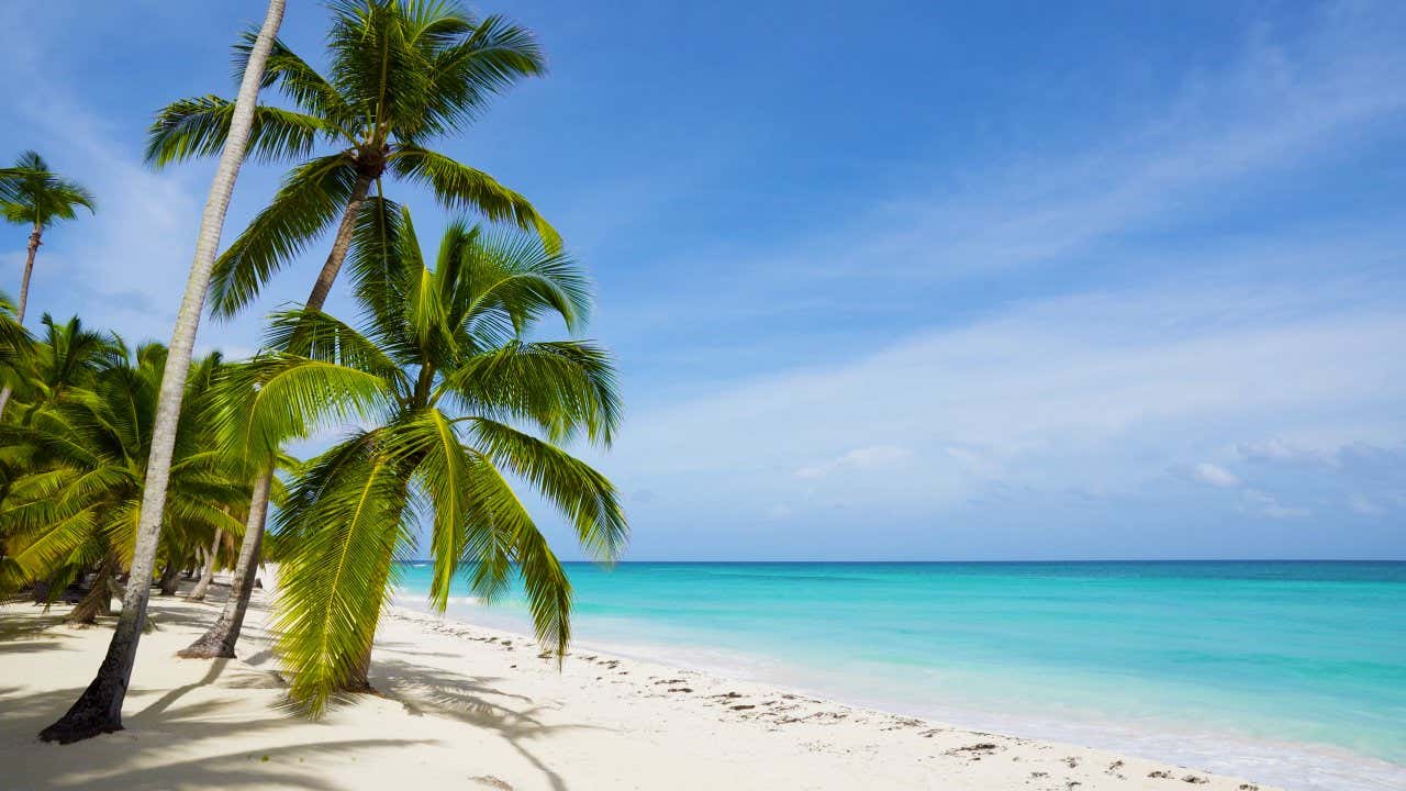 A sandy beach with palm trees next to turquoise water under a blue sky.