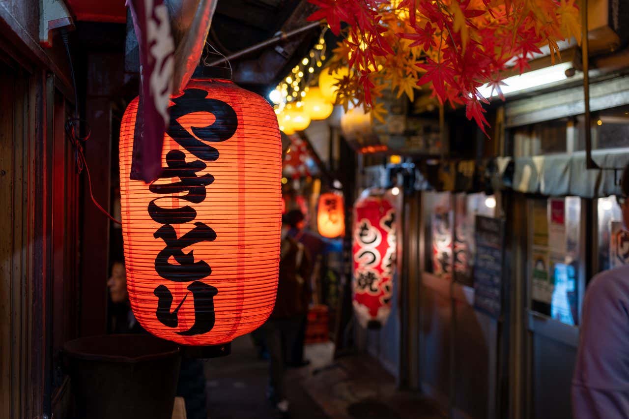 A Japanese lantern in the foreground, with a blurred background of an alley of bars in the background.