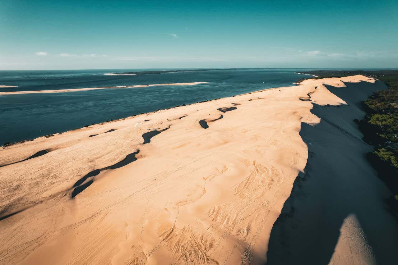 Una grande duna di sabbia divide un boschetto di alberi bassi dal mare al tramonto