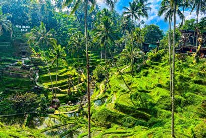 Top 10: Things to Do in Bali