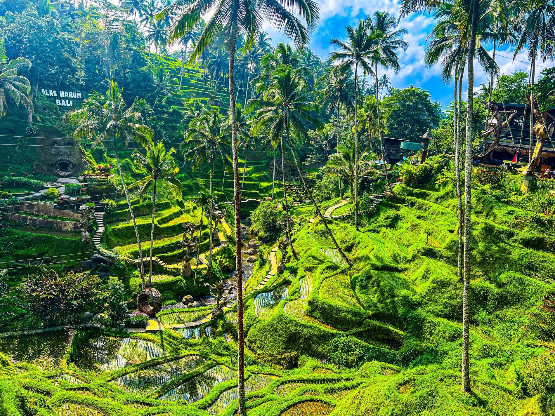 Qué ver en Bali: 10 planes y lugares imperdibles