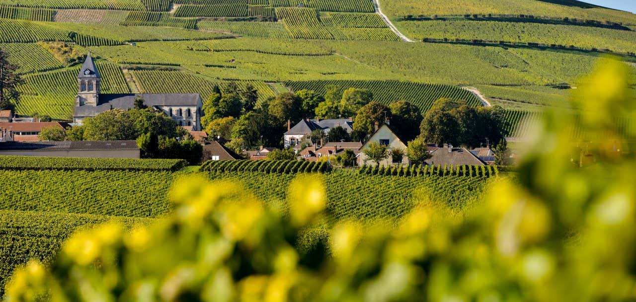 Vue sur les vignobles et le village de Mancy, au sud d'Épernay, sur la Route touristique du champagne