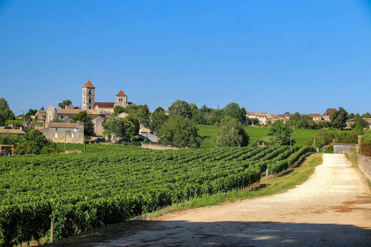 Panorâmica dos vinhedos de Bordeaux com edifícios e igrejas medievais ao fundo