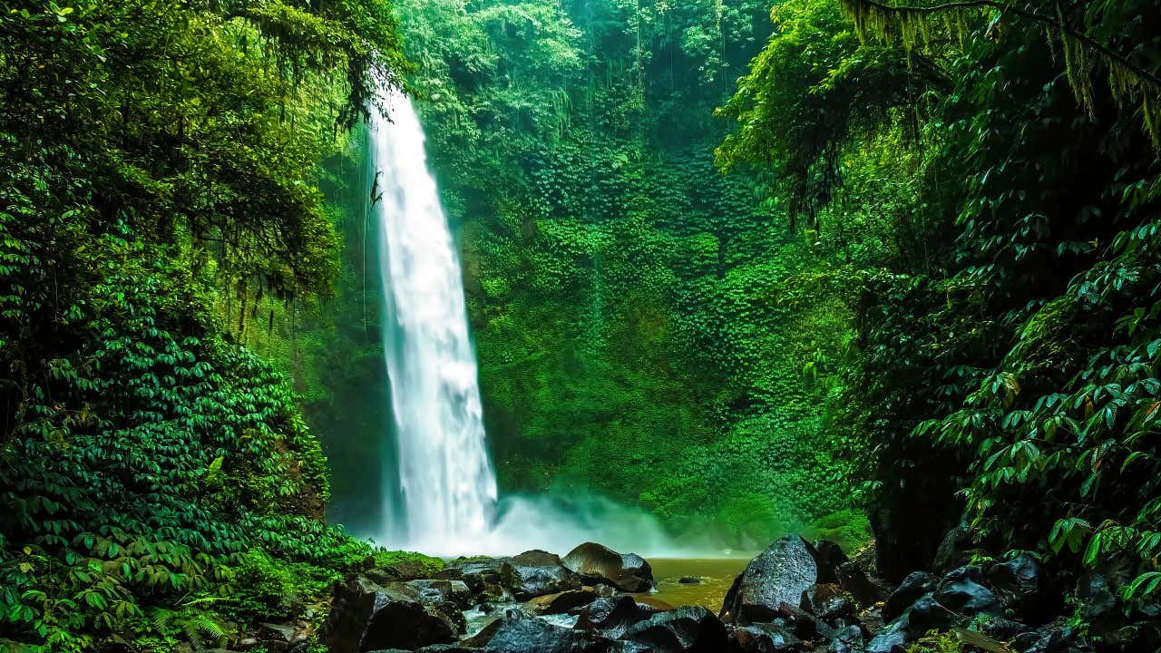 Caida de agua de la cascada Nung Nung en mitad del bosque de Bali