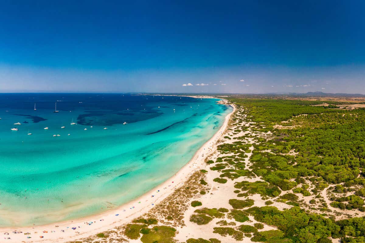 Panorámica de la playa Es Trenc, una bahía de arena dorada con algunas sombrillas y aguas cristalinas