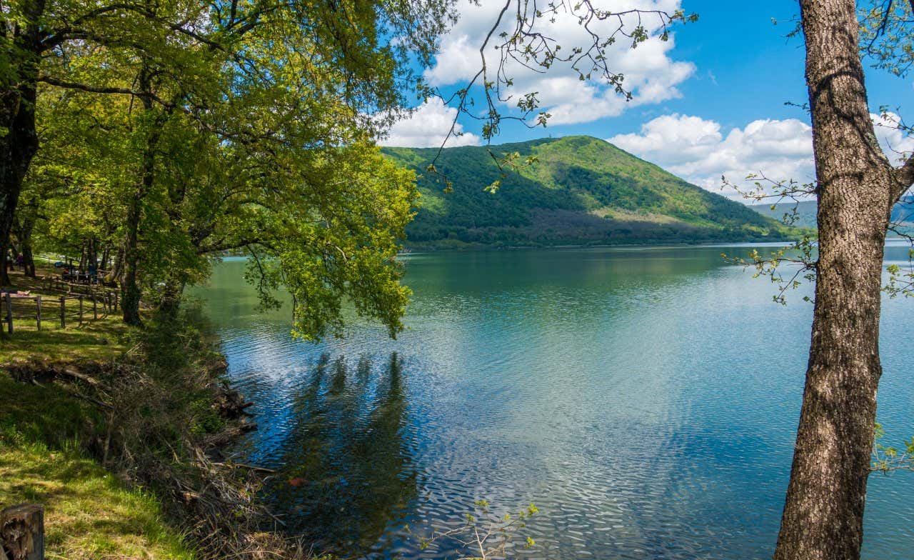 Sponda del lago di Vico immersa nel verde, con il tronco di un albero in primo piano, in un giorno di sole con alcune nuvole nel cielo