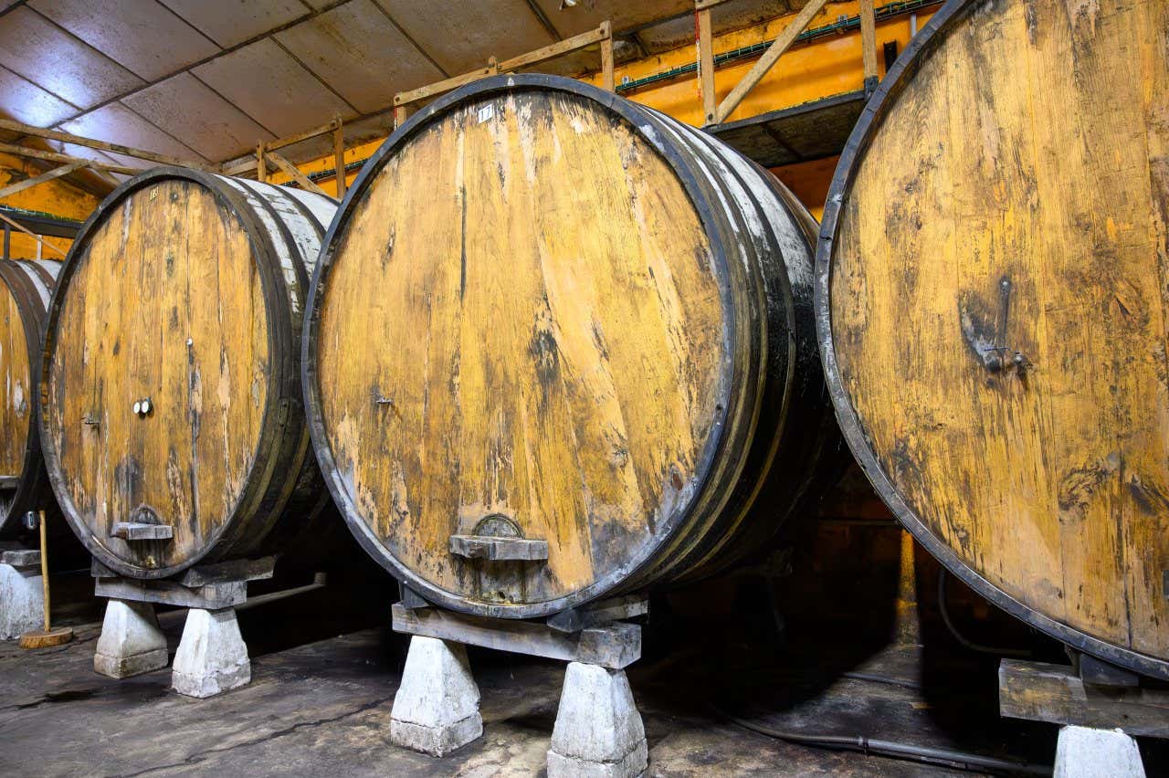 A selection of wooden barrels inside a room.