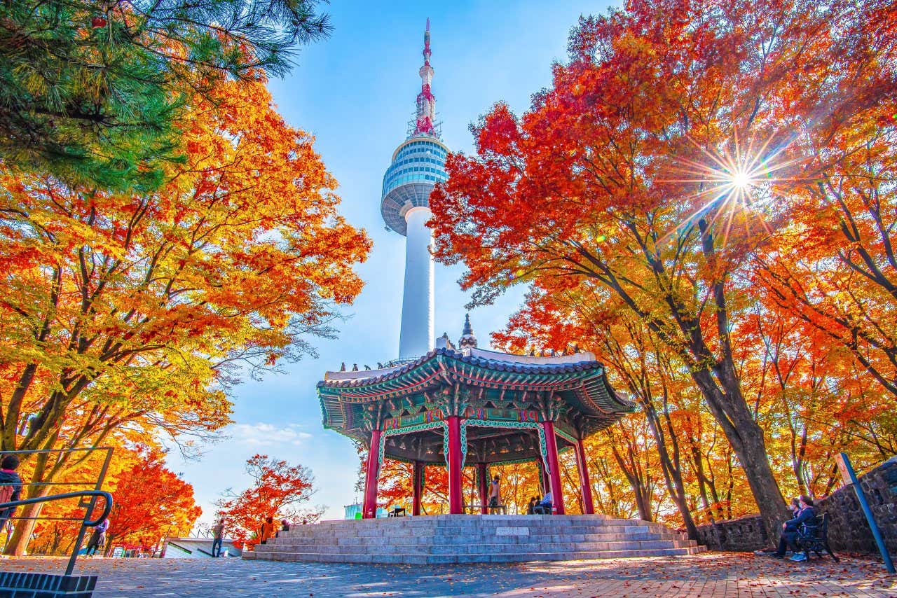 N Tower in South Korea visible in the background, an old temple bordered by autumn trees in the foreground.