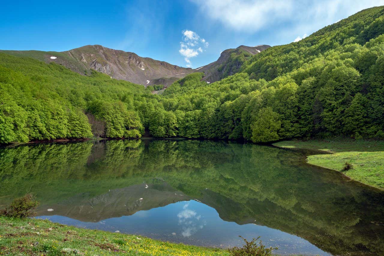 Un piccolo lago immerso in un folto bosco di alberi dalle fronde verdi e monti spogli sullo sfondo in una giornata serena con poche nuvole