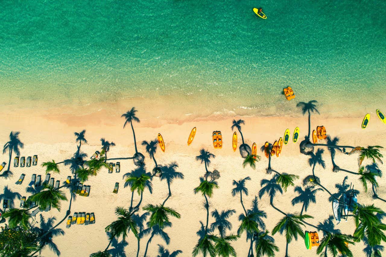 Aerial view of Bavaro Beach with sun loungers and canoes on the shore and many palm trees