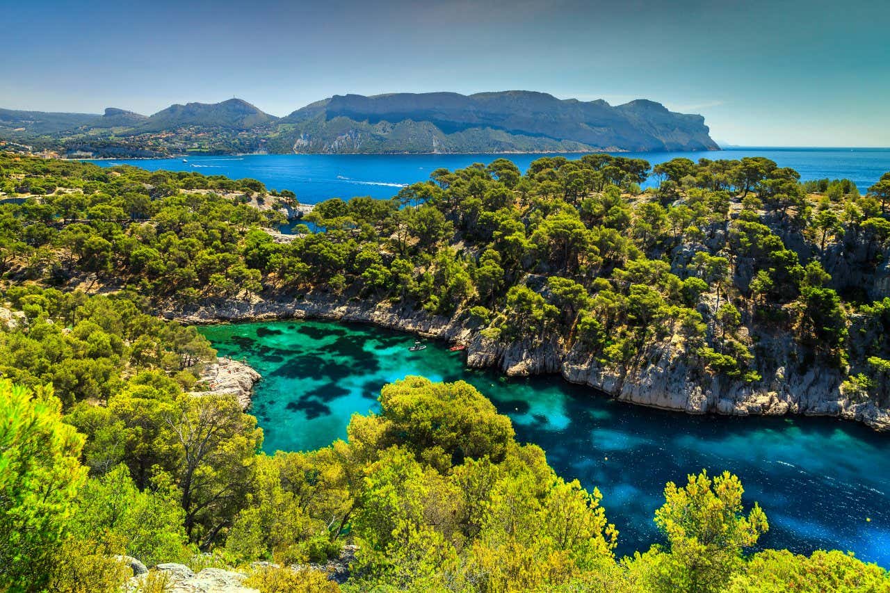 An aerial view of turqiouse water and rugged coastline covered in dense vegetation