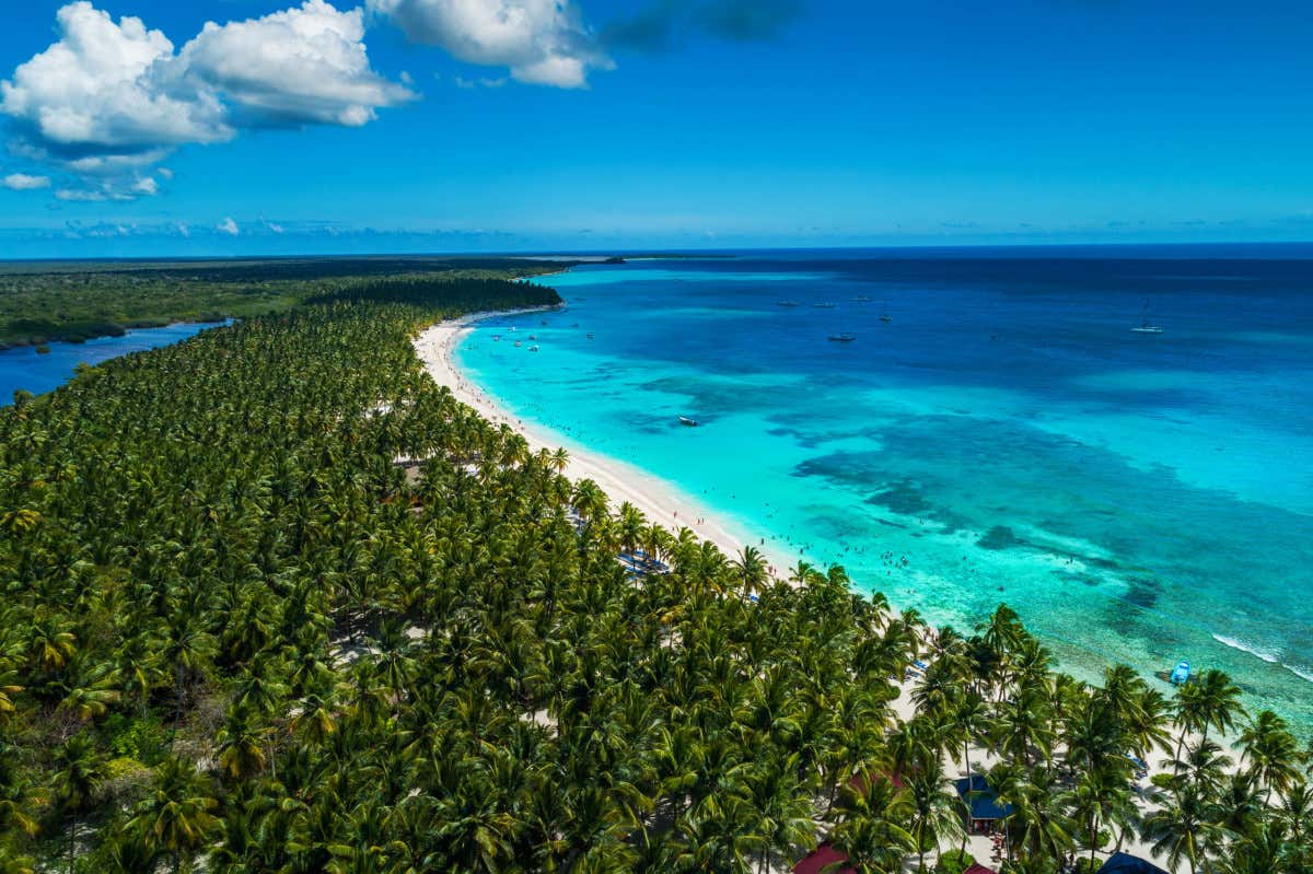 Vista aerea dell'Isola di Saona con palmeti, spiagge di sabbia bianca e mare turchese