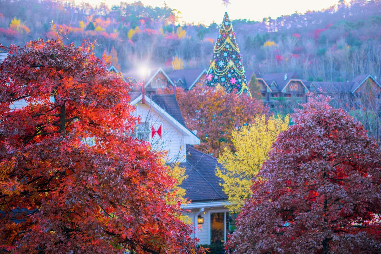 The treeline at Everland Amusement Park, with a decorated Christmas tree in the centre.