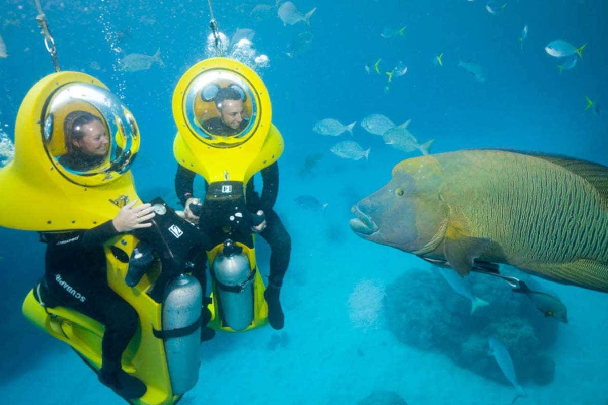 Dos personas a bordo de scooters submarinas viendo un pez