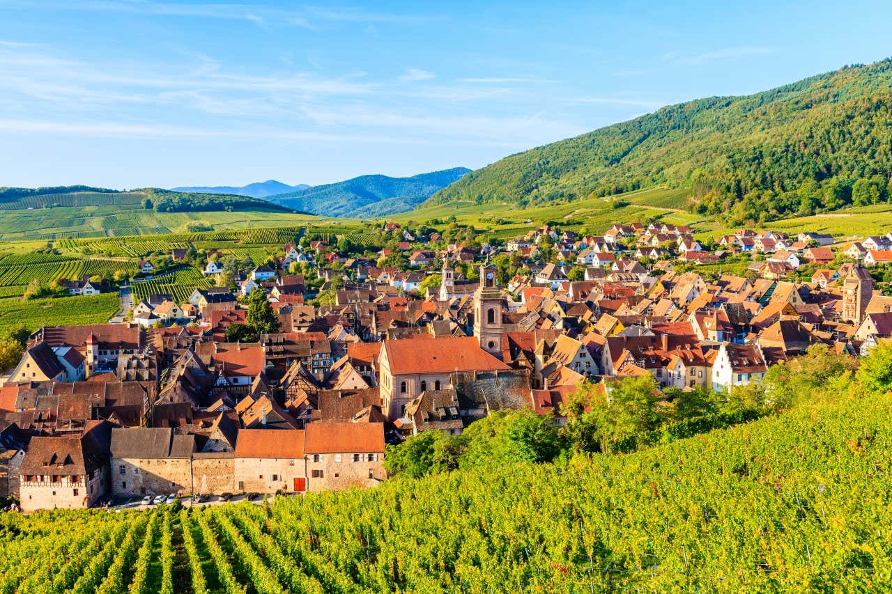 Village de Riquewihr, depuis les vignes, sous le soleil, une visite que vous devez faire absolument en Alsace