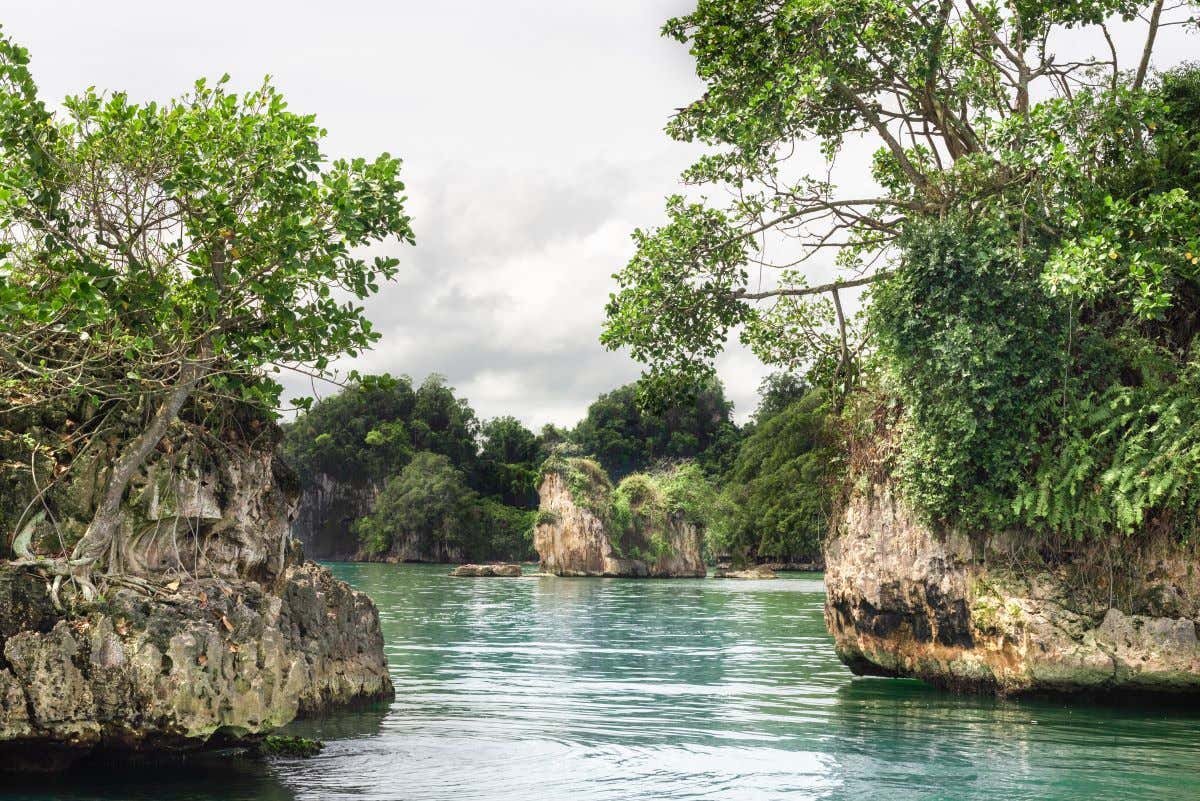 Navegando en el Parque Nacional Los Haitises