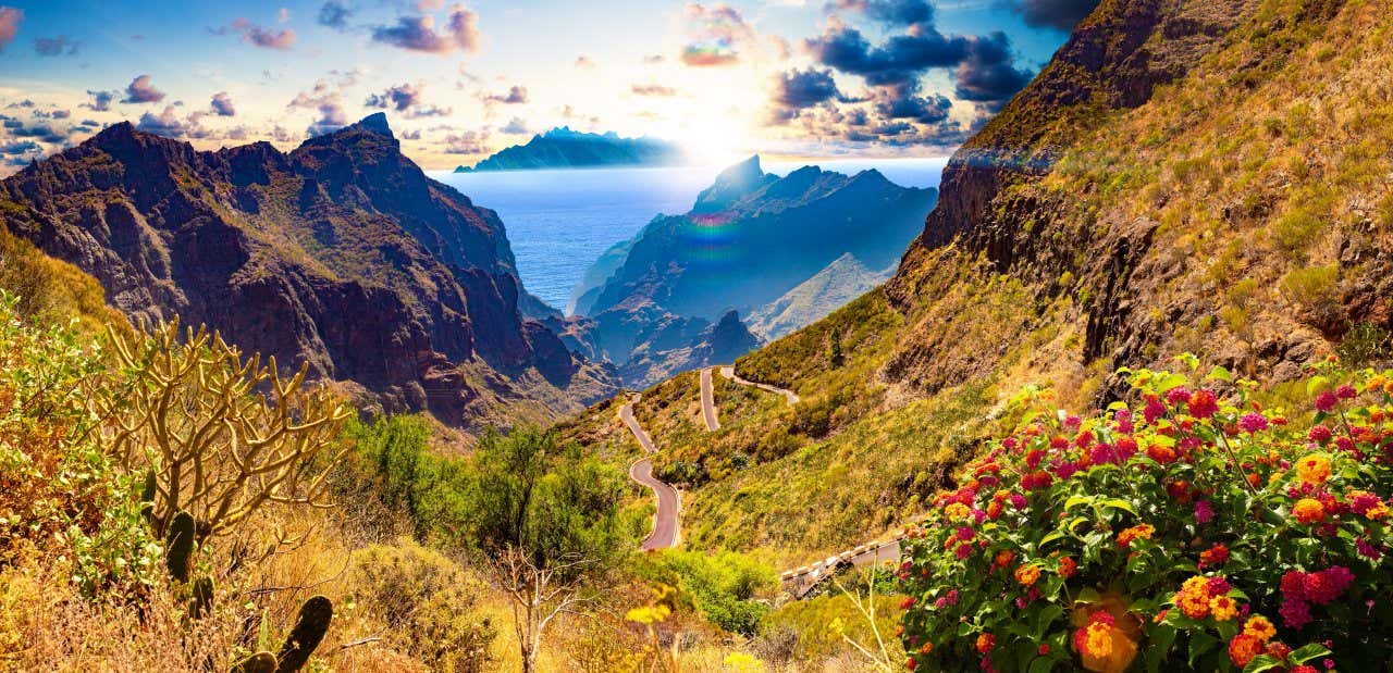 Valle montuosa con strade tortuose, cactus e fiori in primo piano. Sullo sfondo, montagne al tramonto e il sole che brilla sopra l'oceano