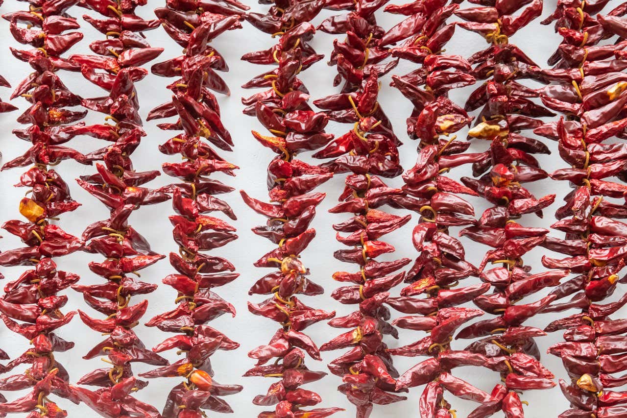 Des piments séchés sur des cordes à Espelette, l'un des plus beaux villages du pays basque français