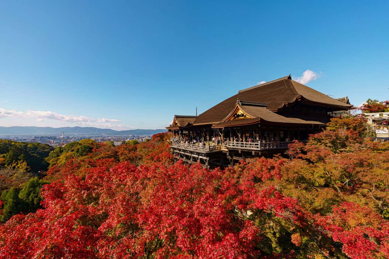 Kiyomizudera Temple in Japan during Autumn, with red leaves on the trees around the temple. There is a clear blue sky in the background.