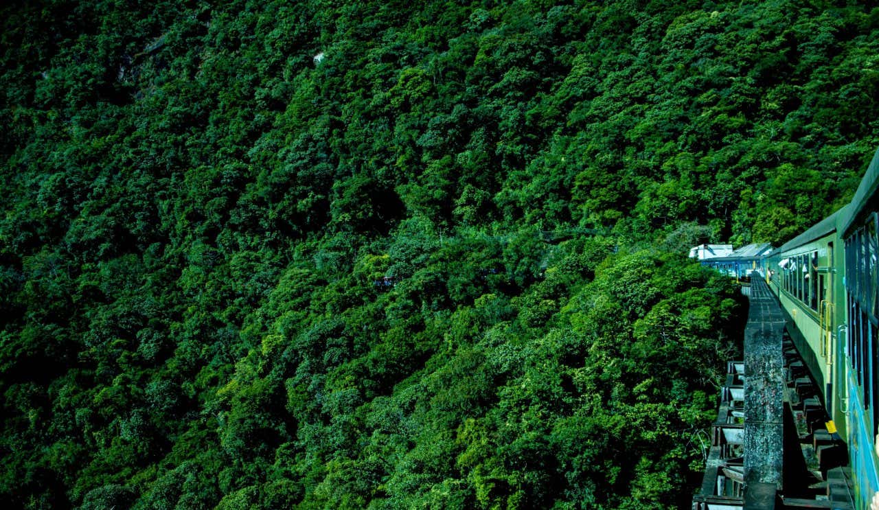 Trem Serra do Mar cortando a frondosa Mata Atlântica